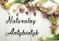 Naturalny antybiotyk – czyli ulecz się sam!