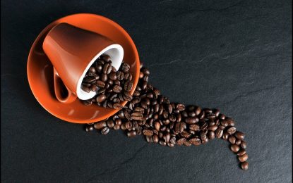 Palarnia kawy, jaka powinna być? Jaki jest proces wypalania kawy?